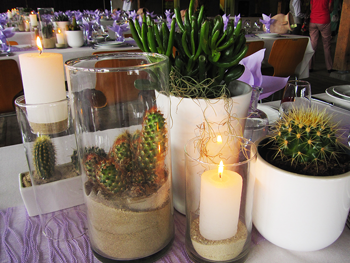 Mariage Violet et Vert Mexicain 3.jpg
